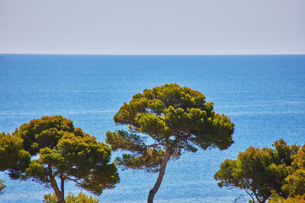 Petit Hotel Ses Rotges - Only Adults Cala Ratjada  Bagian luar foto
